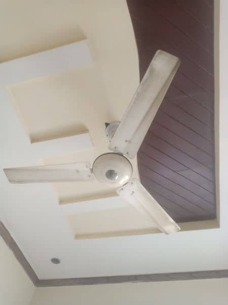 floor fan +celing fans 4