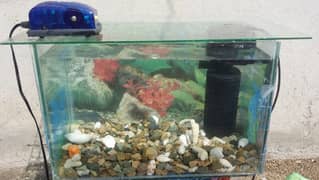 Fish aquarium 2 ft with 2 filtar