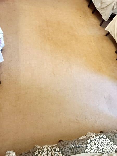 wall to wall light brown carpet 0