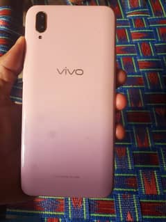 vivo