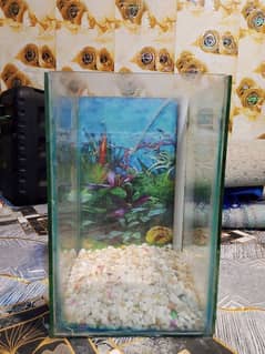 aquarium for sale