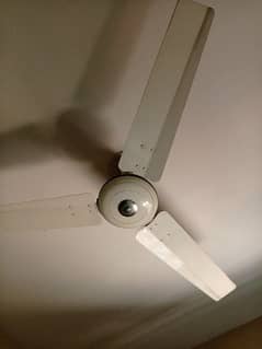 Good Quality fan