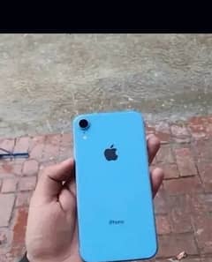 Iphone xr (exchange possible)