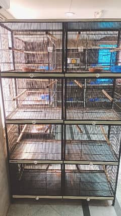 Birds Cage 8 box