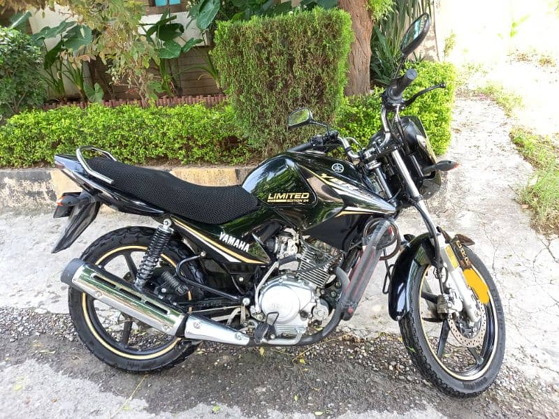 Yamaha YBR 2024 3