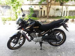 Yamaha YBR 2024 0