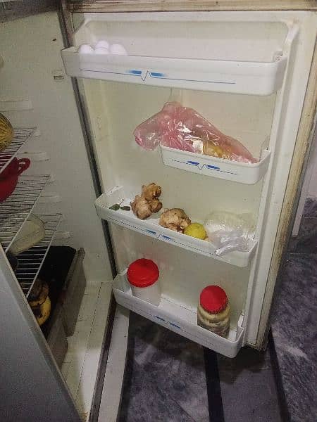 fridge with freezer company Haier 4