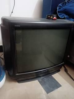 TV