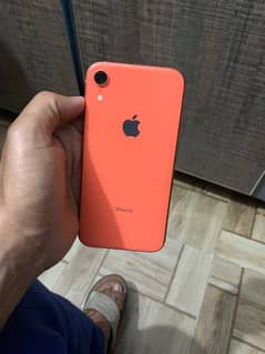 iphone xr dual pta 0