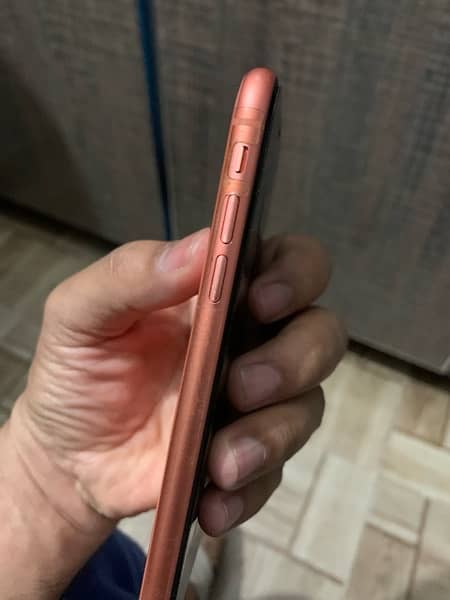 iphone xr dual pta 1