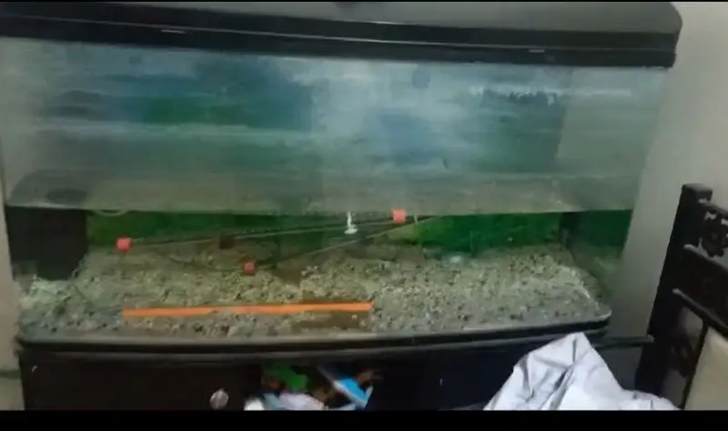 aquarium for sale urgent — photo 3