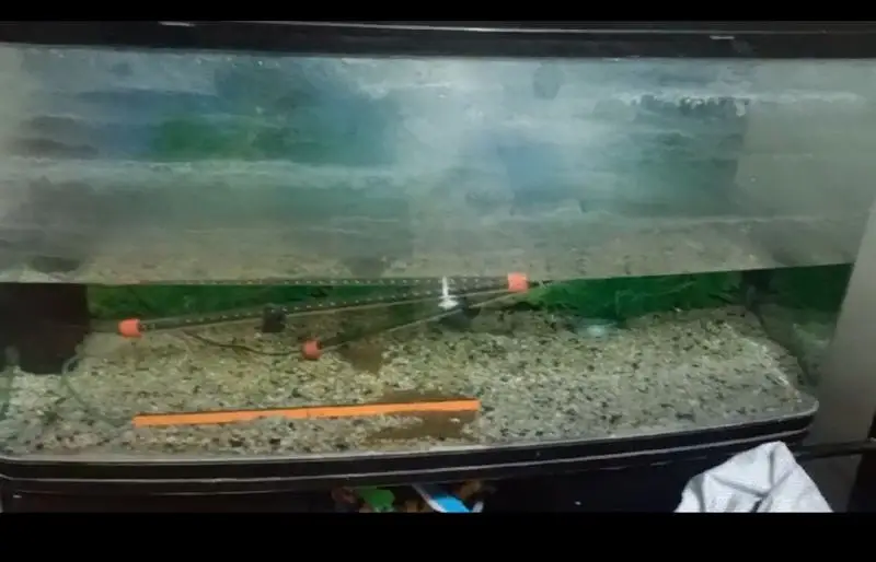 aquarium for sale urgent — photo 4