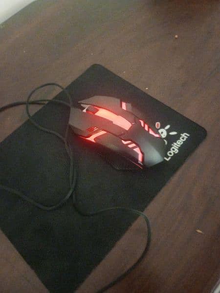 Mouse and Mouse Pad (Wired) 1