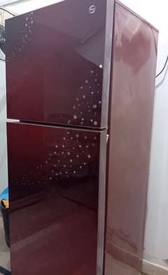 pel fridge  PRGD 155 0