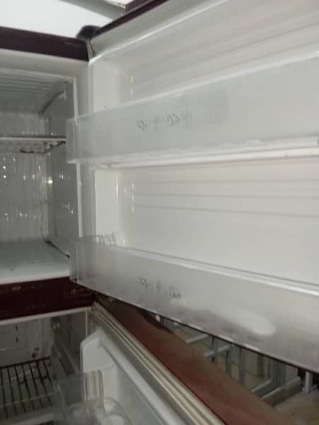 pel fridge  PRGD 155 7