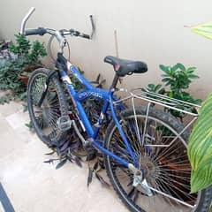 dolphin cycle In Used Urgently sale