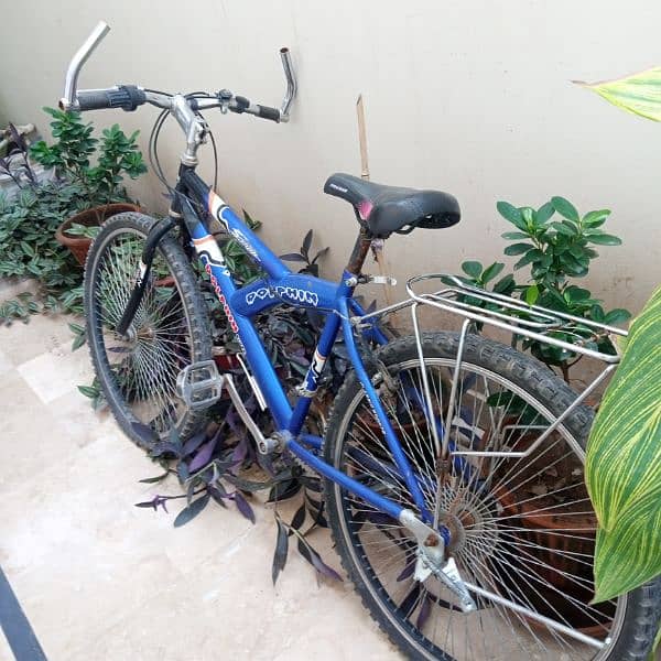 dolphin cycle In Used Urgently sale 0