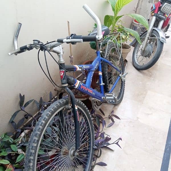 dolphin cycle In Used Urgently sale 1