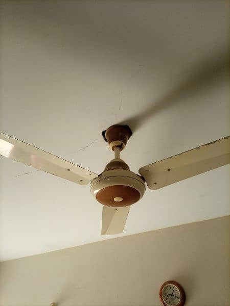 ceiling fan 1