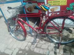 shaheez campany cycle sel he