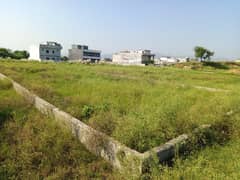 35x70 (272 sq yards) Residential Plot 0