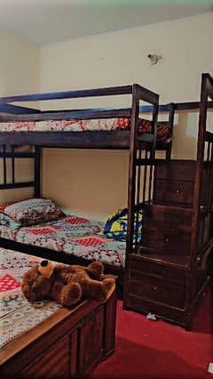 Bunk Bed for Kid & Adults