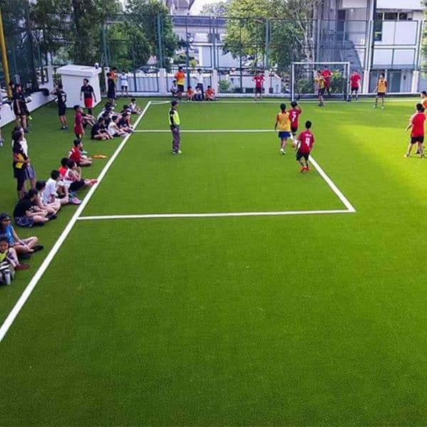 Astro turf Grass/Artificial Grass/Sports Net/Sports Grass 2