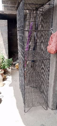 8 portion big cage, birds cage Fisher cage