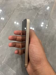 iphone 13 mini