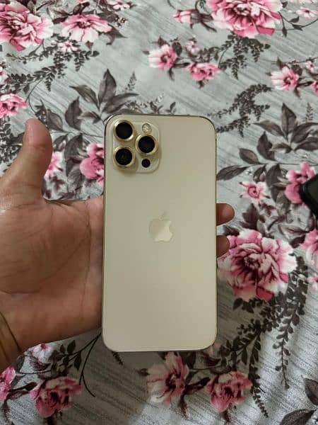 Iphone 12 Pro Max 256 gb Non Pta 4