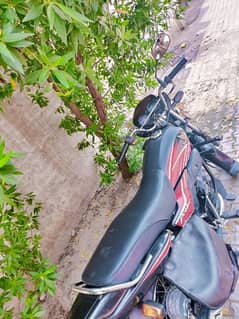 HONDA PRIDOR 2020 model fresh new condition #bypass bosan road multan