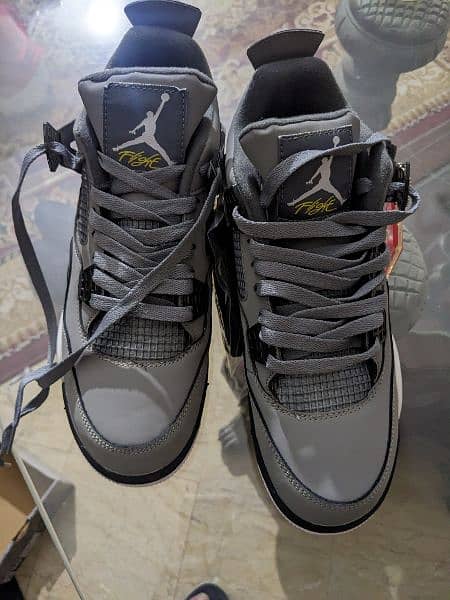 Nike Air Jordan Cool Grey 0