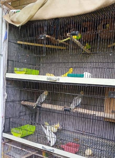 4 porition folding cage for sale 0