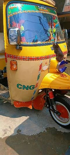 beautiful Auto rickshaw just like zero meter condition