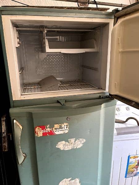 Pel Large Size Refrigerator / Fridge for sale 3