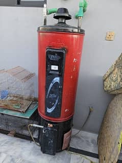 Enviro Gas Geyser