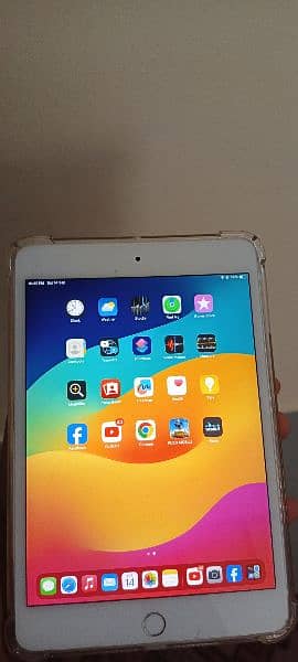 ipad mini 5 0