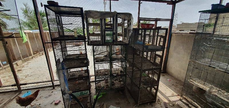 All cages for sale! 1