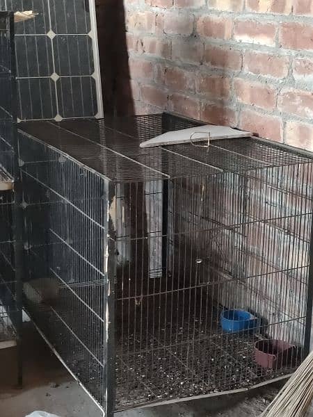 3 cages for sale 4