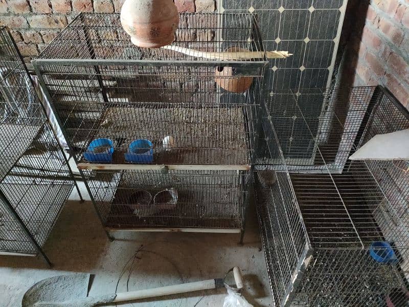 3 cages for sale 5