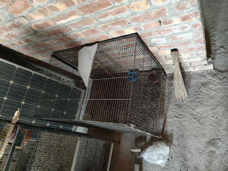 3 cages for sale 7