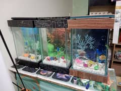 Complete Aquarium Set at reasonable prices