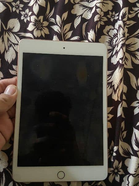 Ipad mini 5 0