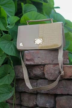 Woman's Stylish Handbag