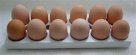 Organic eggs (RIR, Austrolop, Misri) 0