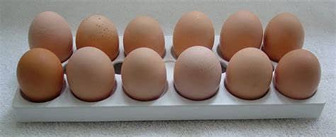 Organic eggs (RIR, Austrolop, Misri) 0