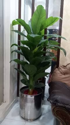 Artificial Plant with Steel Vase