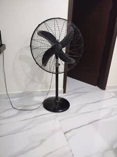 Pedestal Fan