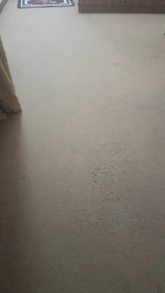 Camel brown carpet in good condition