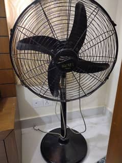 Pedestal fan